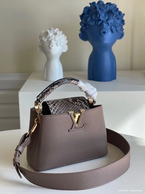 Official oldcobbler LOUIS VUITTON CAPUCINES MINI 0802